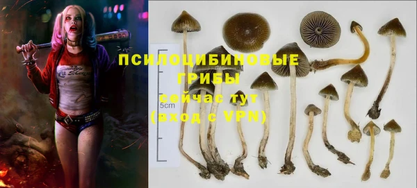 герыч Горно-Алтайск