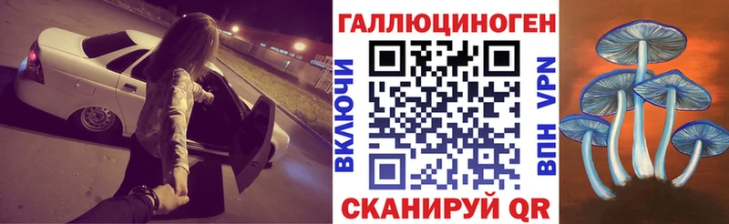 Псилоцибиновые грибы мицелий  Купить  Петухово 