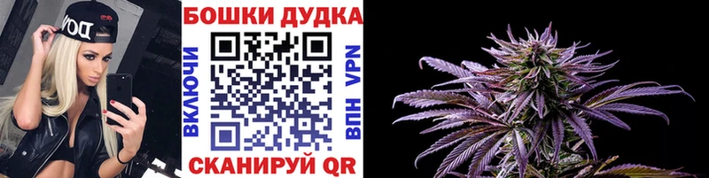 Купить  Петухово  Конопля Amnesia 